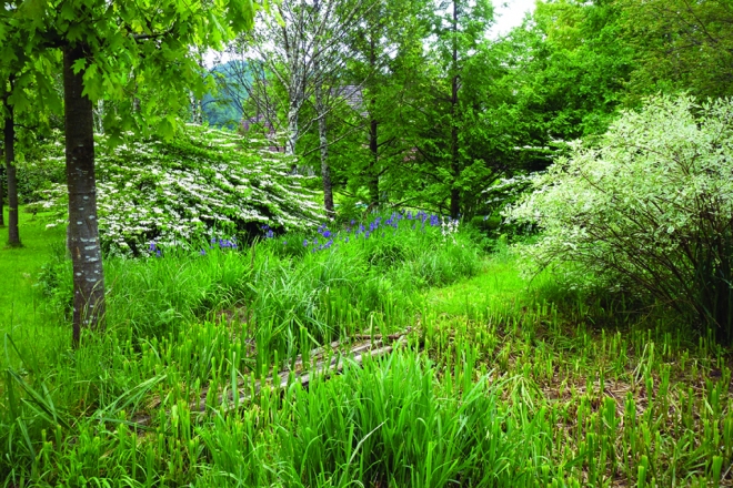 Vrt Kržišnik, Žiri, foto Polona Mlakar Baldasin