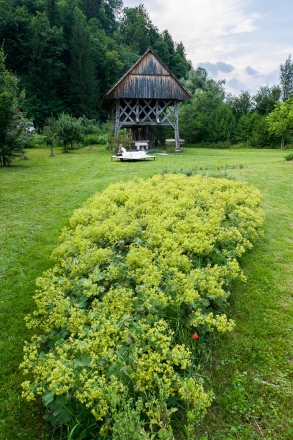 Obisk vrtov Jute Krulc v Žireh, 3. julij 2015. Foto: Blaž Jamšek