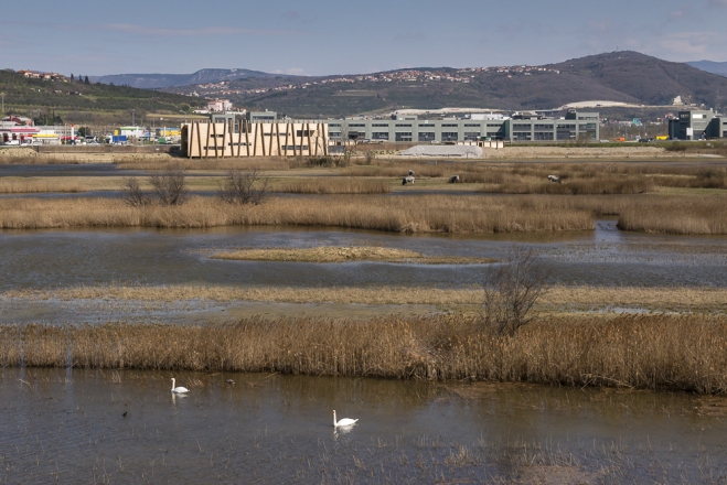 Naravni rezervat Škocjanski zatok, arhitekturni biro Ravnikar Potokar