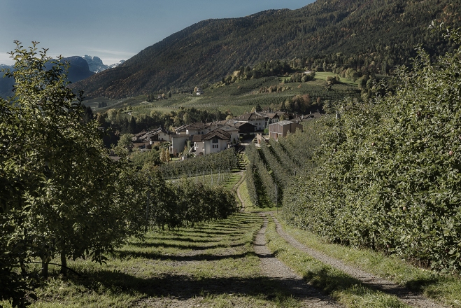 priznanje Piranesi 2017: Nova družbena hiša v Caltronu, Italija, 2015, arhitekt Mirko Franzoso, foto Mariano Dallago