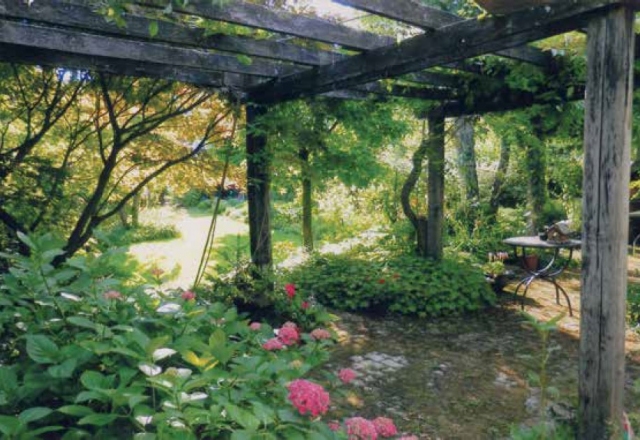 Vrt Dobovišek, Krakovsko predmestje, Ljubljana, 1994–, Breda Dobovišek, foto: Zasebni arhiv Brede Dobovišek