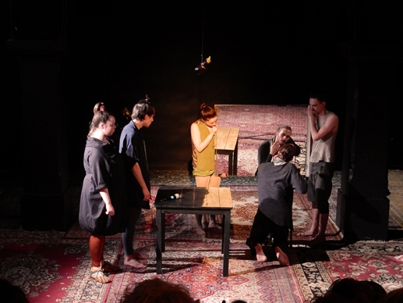 Zborovanje ptic, 2015, foto Aleksander Vujović