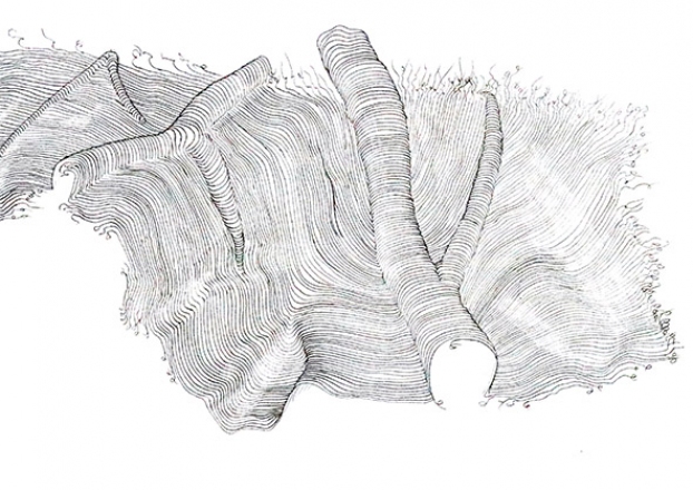 Janez Matevž Anžič