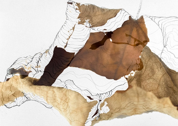 Sinteza lista, 2020/21, Lena Uranjek