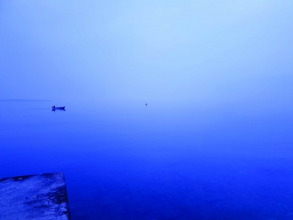 photo: Robert Potokar