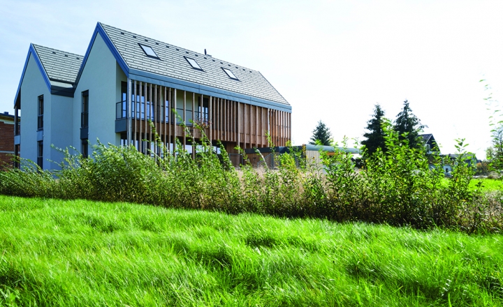 Dvojček na Barju, Ljubljana, 2020, Jereb in Budja arhitekti, foto: Blaž Budja