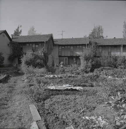 Terraced houses in Kočevje, Šeškova street, Kočevje, 1954, Ilija Arnautović and Stanko Kristl, photo: Janez Kališnik, originals kept by MAO, Ljubljana